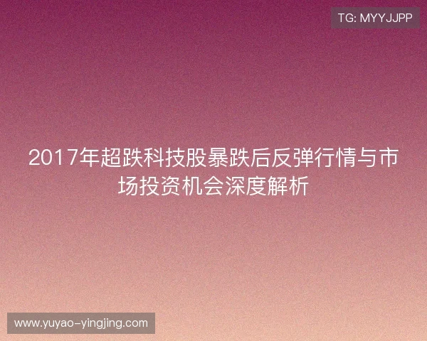 2017年超跌科技股暴跌后反弹行情与市场投资机会深度解析